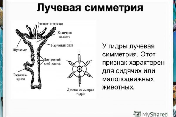 Kraken market ссылка тор